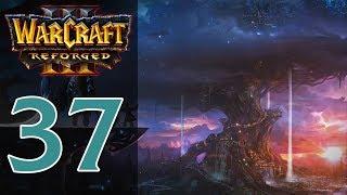 Прохождение Warcraft 3: Reforged #37 - Глава 7: Сумерки богов [Ночные эльфы - Конец вечности]