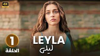 المسلسل التركي مدبلج | ليلى | الحلقة 1 Arabic Dubbed | جودة عالية 4K