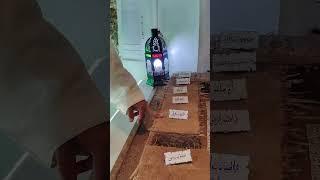 الشيخ عبد الله نهاري: حجرات امهات المؤمنين زوجات النبي صلى الله عليه وسلم.