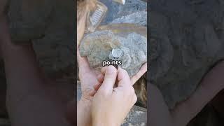 The Geology of Gold: Know Before You Go #quartzveingold #lodegold #placergold #alluvial #goldgeology