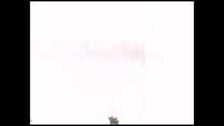 2D Animation