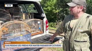 Serra: duas pessoas são presas por manter pássaros em cativeiro