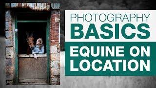 PHOTOGRAPHY BASICS | Equine on location