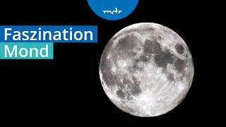 Astronomie live: Faszination Mond aus dem Planetarium Halle | MDR Wissen | MDR+