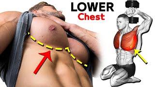 How To Build Your LOWER Chest Workout At Gym (7 Best Exercises)