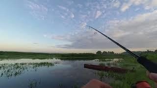 Рыбалка на попперы и волкеры | Morning fishing on the home river