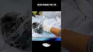 울산에 3만원짜리 막회 수준 #shorts