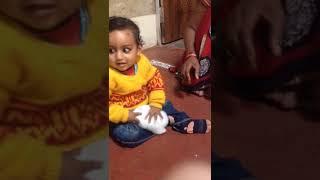 #eshank play with rabbit