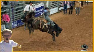 My First Rodeo and Exciting Carnival Rides!