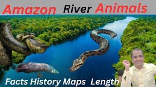  amazon river | amazon jungle | amazon forest | अमेजन वर्षा वन | alisbahgyan 