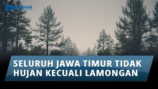 Prakiraan Cuaca di Jawa Timur pada Hari Sabtu, 16 November 2024