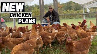 New Plan For The Chickens!