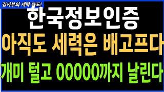 한국정보인증 아직도 세력은 배 고프다 개미 털고 00000까지 날린다 목표가분석 실시간대응전략
