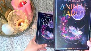 2022 published MM deck Orien’s Animal Tarot by Ambi Sun silent flip through & personal take
