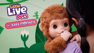 LITTLE LIVE PETS I MY BABY MONKEY TVC I 15