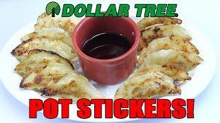 Dollar Tree $1.00 Pot Stickers!! WHAT ARE WE EATING?? - The Wolfe Pit