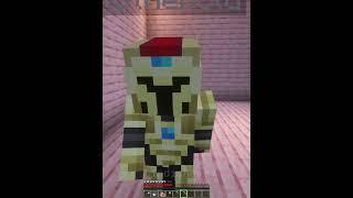 Minecraft mimicer