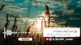 قَذىً بِعَينِكِ أَم بِالعَينِ عُوّارُ - الخنساء ( ترثي أخاها صخر ) | نواف