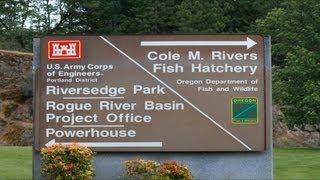 Massive Fish Hatchery - Rogue River, Oregon