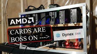 AMD Mines like a Champ on Dynex !