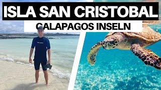 ISLA SAN CRISTOBAL - Die unglaubliche Tierwelt auf den GALAPAGOS-INSELN! | Ecuador Vlog 