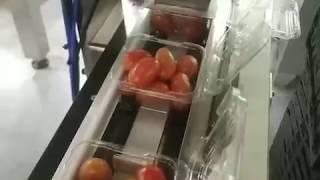 blue tomato cherry plastic case jar weighing filling  sealing labeling  production line video