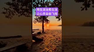 用生活治愈生活，让心灵自由飞翔 #治愈音乐 #分享 #正能量