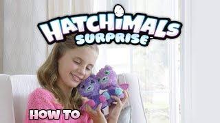 Hatchimals Surprise | How To