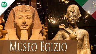 IL MUSEO EGIZIO DI TORINO - DALLA NASCITA ALLA RINASCITA