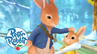 Peter Rabbit - Brotherly Love | Cartoons for Kids