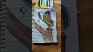 butterfly drawing ️️️