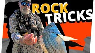 How To Save A DUD Rock Fishing Session By Being Versatile!