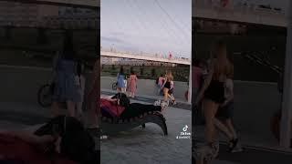 набережная река тура. тюмень