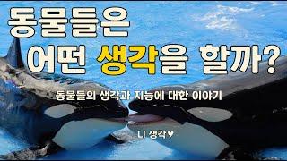 동물들의 생각과 지능[언어, 애도, 거짓말, 동료애, 왕따, 교육, 동물행동의 진화]