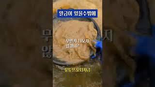 알금(Gold)이 나올수밖에 ㅋㅋ 그렇지!! #사금 #사금채취 #goldpanning