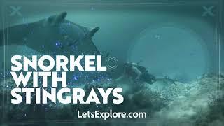 Let's Explore Oceans - Virtual Reality Headset - DRTV TV advert