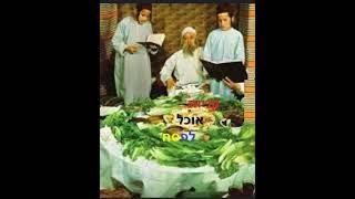 פסח14: אוכל לפסח. מה צריך לקנות?מה זה חזרת? מה זה כרפס? מדוע יין לא מבושל?