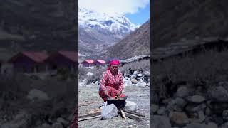 What NEXT?? Cooking in mountain! #shorts