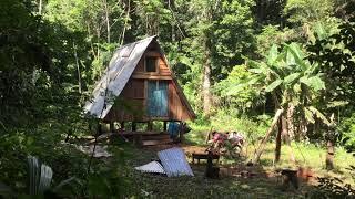 A-Frame cabin, off the grid in  Belize.