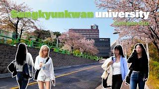  Sungkyunkwan University Seoul Campus Tour | 4k HDR | KOREA cherry blossom