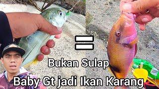 Bukan Sulap, Bukan Sihir ‼️ Baby GT Jadi Ikan Karang #mancing #ickupirates #sabikifishing