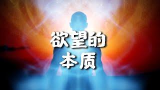 欲望的本质是什么？为什么欲望常常让人痛苦？