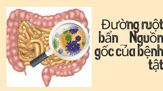Hình ảnh đường ruột từ lúc khỏe đến khi Ung thư(n/c bởi dr.Hiromi Shinya)