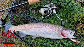 Techniken und die Taktik/Forellen fischen mit Kunstködern/ Trout Area