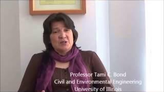 Prof. Tami Bond, Civil and Environmental Engineering, Univ. of Illinois