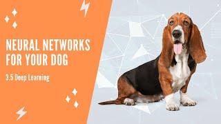 Neural Networks For Your Dog - 3.5 Deep Learning