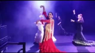 Flamenco Alegria, Bata De Cola