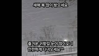 #금화다육 #다육식물 #수입전문
