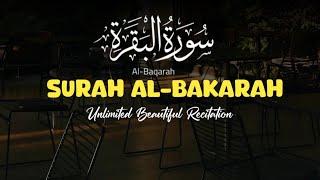 Surah Al Bakarah Beautiful Recitation البقرة‎ | Abu Abdullah Muhammad Umar