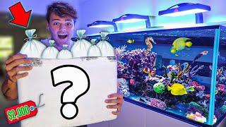 BUYING $2,000 in FISH for My SALTWATER REEF AQUARIUM!!